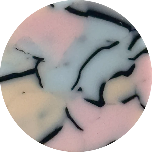 Disc Resin Rose